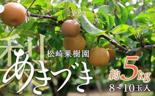 梨「あきづき」約5kg（8～10玉入）【松崎果樹園】 - 宮城県角田市｜ふるさとチョイス - ふるさと納税サイト