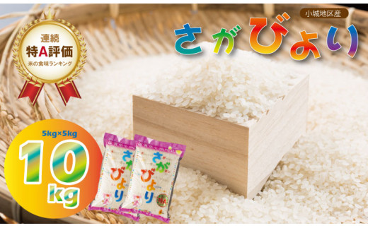 佐賀ブランド米「さがびより」10kg 令和5年度産 - 佐賀県小城市