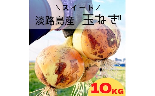 淡路島スイートオニオン 淡路島産玉ねぎ 10kg - 兵庫県南あわじ市｜ふるさとチョイス - ふるさと納税サイト