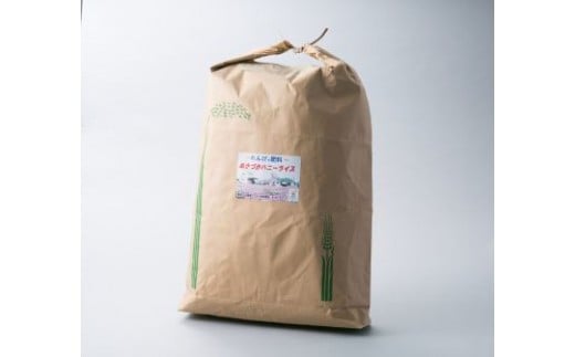 yꌧߍ]sznj[CX LkqJ 30kgiČ27kgxj _g@lt̋ʂÂ ꌧ ߍ]s E-H04 LkqJ 30kg 27kg      ߍ] Q 