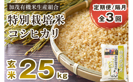 新米 令和3年産コシヒカリ玄米20kgみかん付き食品/飲料/酒