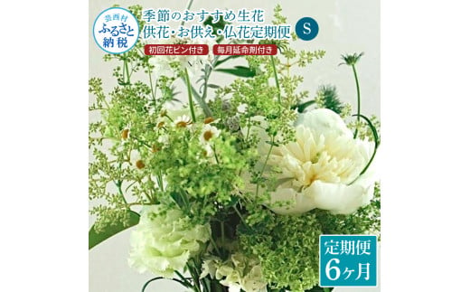 《6ヵ月定期便》花束一束 お供え 初回花瓶付S 定期便 定期コース 全6回 初回花瓶付き 延命剤付き 花びん 生花 仏花 供花 花束 はな 花 法要  お盆 お花 おすすめ