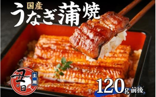 名古屋 うなぎのしら河 国産 鰻 蒲焼き 120g前後×1尾 タレ 山椒付 うなぎ ウナギ かばやき 鰻丼 うな重 鰻重 お中元 お歳暮 ギフト  送料無料 愛知県 名古屋市