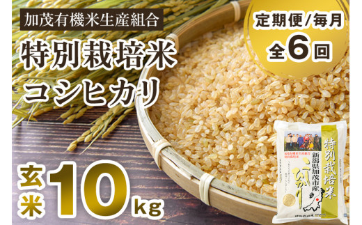 令和6年産 コシヒカリ 玄米 10kg 令和6年産埼玉産コシヒカリ 玄米10kg