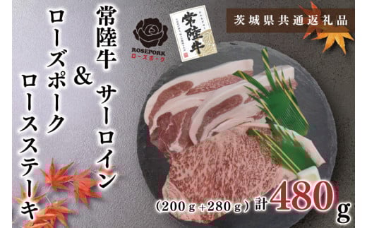 y錧szKCK-42y錧ʕԗizy헤A5NE[Y|[NXe[LZbgz헤T[CXe[L200g{[Y|[N[XXe[L280gi140g×Qj