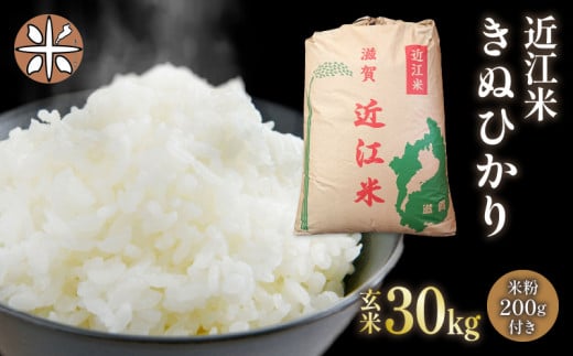 ふるさと納税「玄米 30kg 令和5年 ミルキー」の人気返礼品・お礼品比較