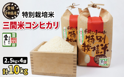 新米 コシヒカリ 計10kg 農業組合法人はざめ 特別栽培米 米 お弁当
