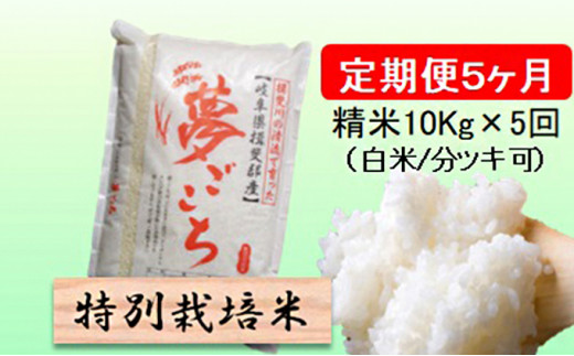 令和５年産 特別栽培米☆[定期便] 5カ月☆毎月 精米10kg（白米/5分/7分