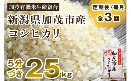 【定期便3ヶ月毎月お届け】【5分づき】新潟県加茂市産 特別栽培米コシヒカリ 精米 25kg（5kg×5） 従来品種コシヒカリ 加茂有機米生産組合