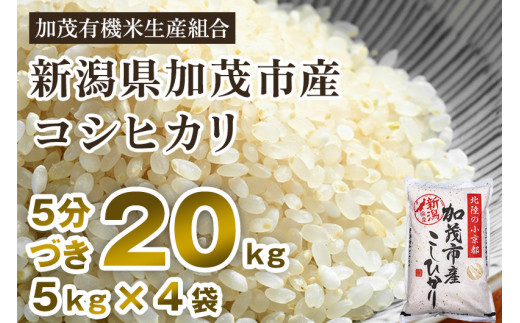 【令和5年産新米】【5分づき】新潟県加茂市産 特別栽培米コシヒカリ 精米 20kg（5kg×4） 従来品種コシヒカリ 加茂有機米生産組合