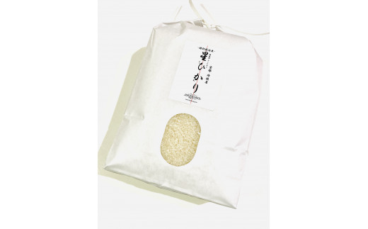 【令和5年産新米・12か月定期便】コシヒカリ精米5kg×12ヶ月-特別栽培米- “星ひかり”《星原ファーム》綾部産 綾部市 京都 丹波 新米  こしひかり お米 米 5kg 農家直送