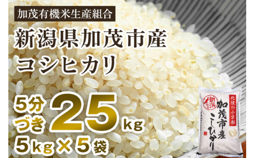 【令和5年産新米】【5分づき】新潟県加茂市産 特別栽培米コシヒカリ 精米 25kg（5kg×5） 従来品種コシヒカリ 加茂有機米生産組合