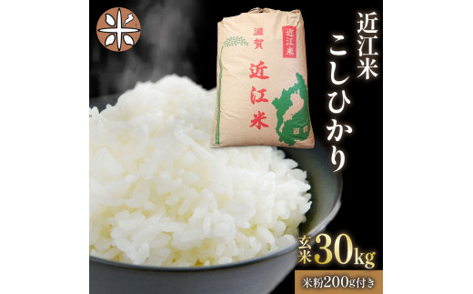 令和5年産 コシヒカリ 玄米 30kg 近江米 新米 米粉 200g付