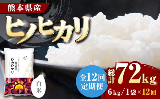 【12回定期便】ヒノヒカリ 白米 6kg【有限会社 農産ベストパートナー】 [ZBP069] 白米 精米 定期便 特A ヒノヒカリ ひのひかり コメ  米 お米 熊本県 熊本県産