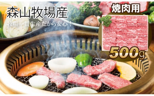 鮮度が違う！森山牧場 焼肉セット（500g） 黒毛和牛