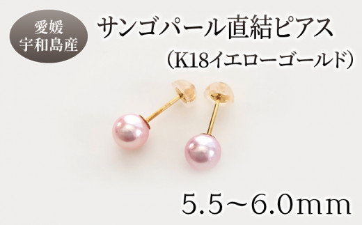 10営業日以内発送／ サンゴ パール 直結 ピアス 5.5-6.0mm イエローゴールド 松本真珠 真珠 無調色 アクセサリー パールピアス  レディース アコヤ真珠 本真珠 akoya フォーマル カジュアル 慶事 弔事 結婚式 卒業式 入学式 ギフト 贈り物 国産 愛媛 宇和島  A170-068007 ...