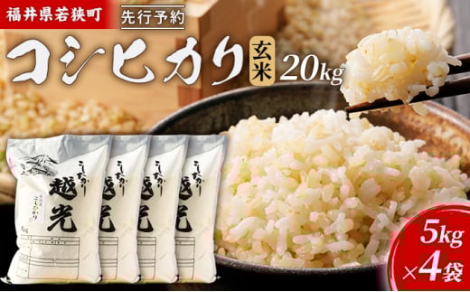 コシヒカリ 米 お米 令和6年産 福島県中通り産 玄米:30kg(白米