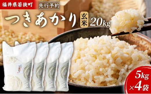 令和6年産福井県若狭町つきあかり（一等米）玄米 20kg（神谷農園） 5kg×4袋 [№5580-0850] - 福井県若狭町｜ふるさとチョイス -  ふるさと納税サイト