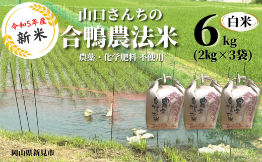 【令和5年度 新米】山口さんちの合鴨農法米 白米6kg (2kg×3袋