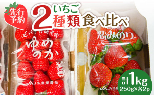 【2024年1月〜発送】 いちご 2種類 食べ比べ 約250g×4P / ゆめのか こいみのり / イチゴ 苺 果物 フルーツ / 南島原市 /  JA島原雲仙東南部基幹センター[SAC006]