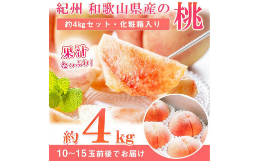 ya̎RxRzGi IBa̎RY̓ 4kg@ϔm2026N6{菇nmUT106n