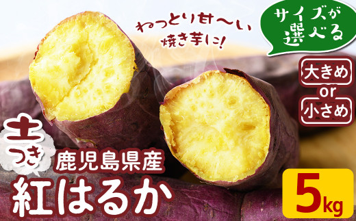 鹿児島県産　土付きらっきょう　Sサイズ　約20キロ 楽天市場】らっきょう（総重量（野菜）1.0 ～ 1.9kg）（野菜