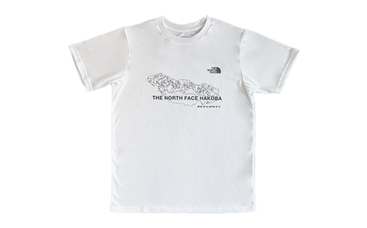 t shirt the north face original