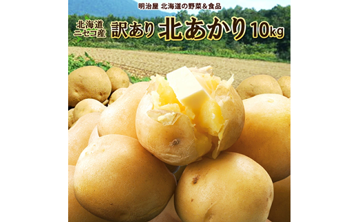 早期予約>北海道ニセコ町 訳ありじゃがいも北あかり10kg【2024年産】【3200901】 - 北海道ニセコ町｜ふるさとチョイス - ふるさと納税 サイト