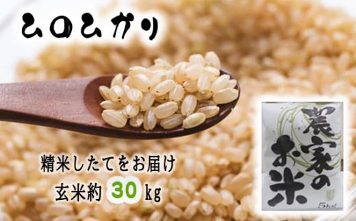 R元年産 ヒノヒカリ 30kg - 米/穀物