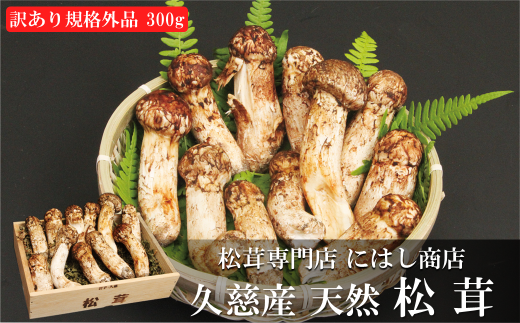 訳あり：規格外品」【季節限定】久慈産天然松茸 300ｇ - 岩手県久慈市｜ふるさとチョイス - ふるさと納税サイト