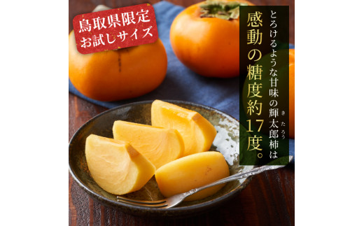 JK-01 大きくて甘い柿「輝太郎（きたろう）」（3kg）【9月下旬～10月