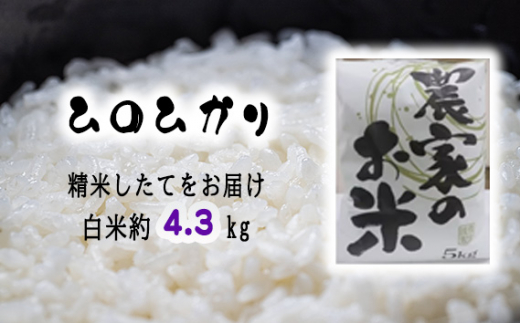 白米】長野産ブレ ンド米 30キロ（10キロ×3袋）精米したてをお届け