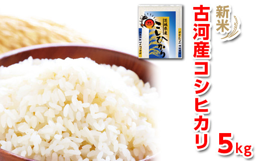 CL06_【令和5年新米】茨城県産コシヒカリ20kg（10kg×2袋）精米JA茨城