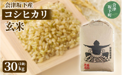 コシヒカリ 玄米 会津 30kg 令和5年 特別栽培米 減農薬 米 お米 藤川