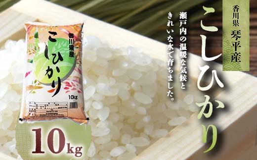 香川県産 米の人気商品・通販・価格比較 - 価格.com