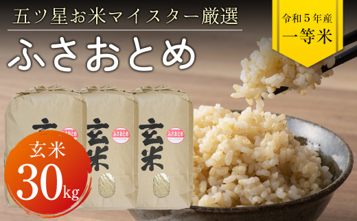 令和5年 千葉県産「ふさおとめ」30kg（玄米） - 千葉県富津市｜ふるさとチョイス - ふるさと納税サイト