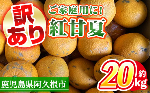 訳あり！鹿児島県産まかない紅甘夏(約20kg)国産 鹿児島産 柑橘 訳アリ