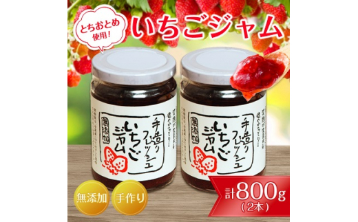 茨城県産手造り いちごジャム 2本(400g×2本) とちおとめ ジャム