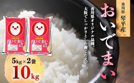 先行予約】令和5年度産 香川県琴平産おいでまい 5kg×２（11月上旬より