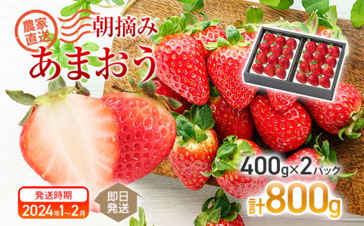 冷凍あまおう スムージー専用150g×８パック CD22 - 福岡県大木町