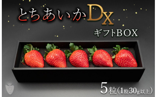先行予約】【数量限定】とちあいかDX ギフトBOX（5粒）【いちご イチゴ
