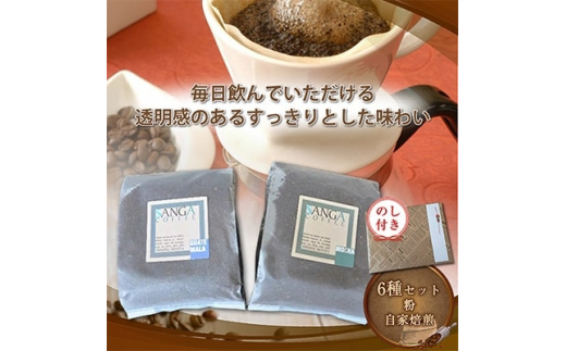 y쌧cẑtTKR[q[qr100g×6y1097802z