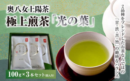 奥八女上陽茶　極上煎茶「光の葉」100ｇ×3本セット箱