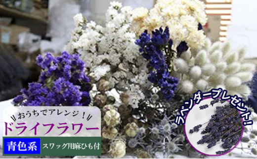 ykCxǖ쒬zŃAWIhCt[iFnjv[gt kC xǖ쒬 hCt[   