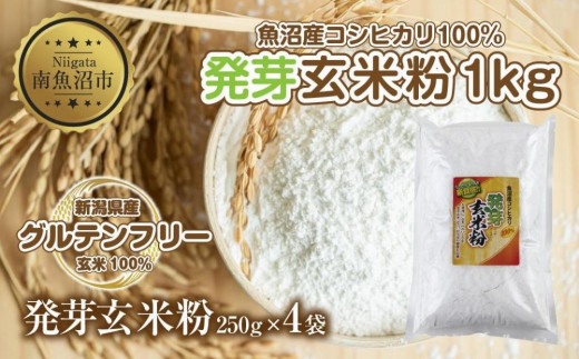 yV싛szY RVqJ 茺ĕ 250g×4 v1kg    Oet[ sgp AM[ GABA  َq p P[L Mtg  Rpt[Y V 싛s