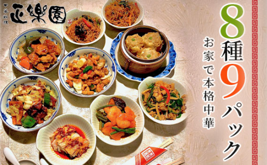 【千葉県野田市】No.065 【正楽園】お家で本格中華 彩り中華三昧 満腹セット 8種9パック