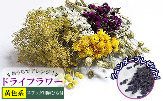ykCxǖ쒬zŃAWIhCt[iFnjv[gt kC xǖ쒬 hCt[   