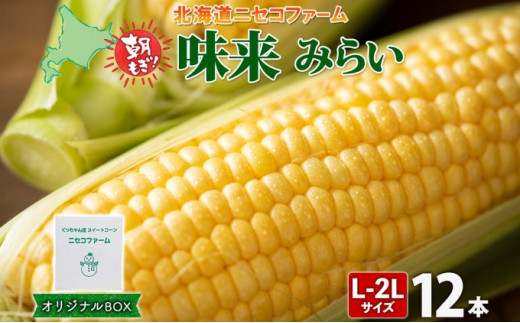 北海道産 とうもろこし 味来 計12本 L-2L サイズ混合 大きめ みらい 旬