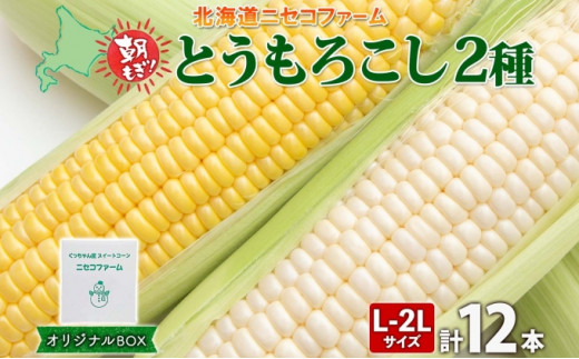 北海道産 とうもろこし 2種 計12本 L-2L サイズ混合 味来