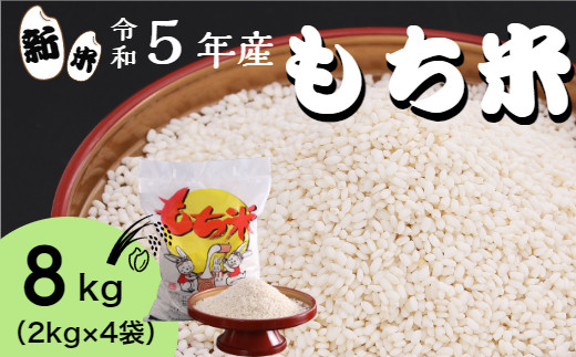 ≪先行受付中≫【四国一小さなまちのもち米】 令和5年産 もち米 8kg